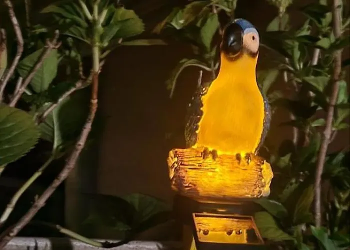 Apartamento Sojka Rovinj