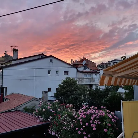 Sojka Appartement *