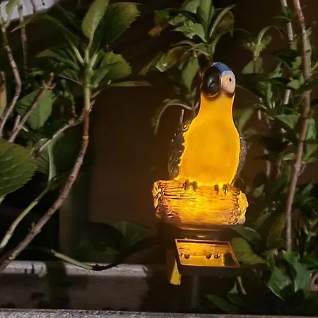 Apartment Sojka Rovinj